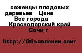 саженцы плодовых деревьев › Цена ­ 6 080 - Все города  »    . Краснодарский край,Сочи г.